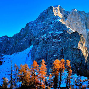 Meet your Posher, Queenie